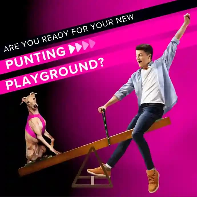 Next2Go — Run by punters, for punters